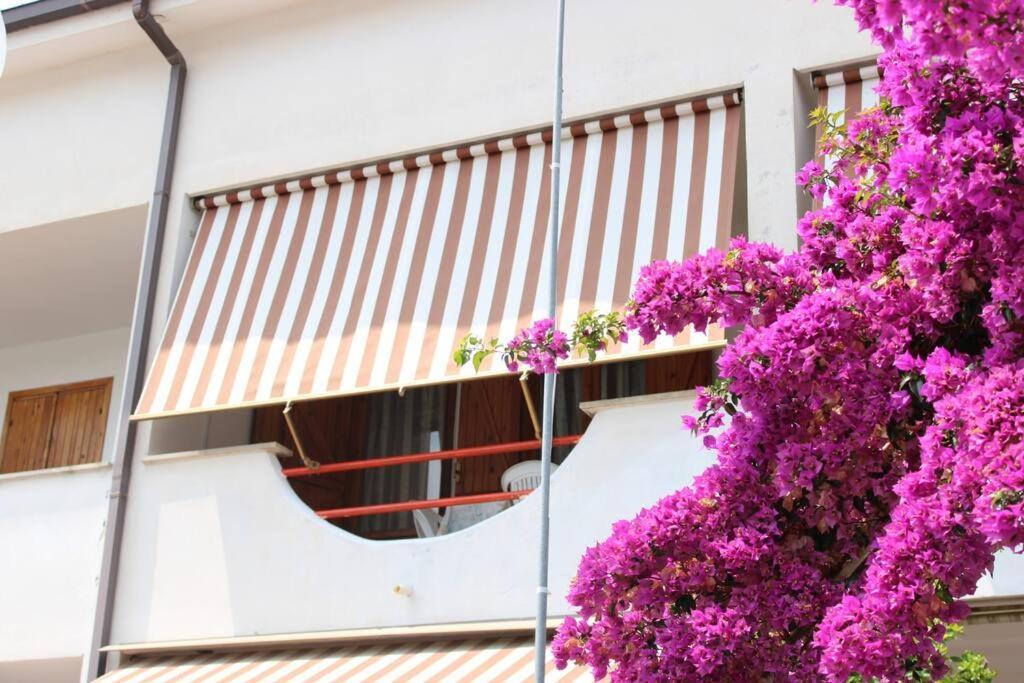 Roma A Un Passo E Il Mare In Casa Apartment Marina di Cerveteri Ngoại thất bức ảnh