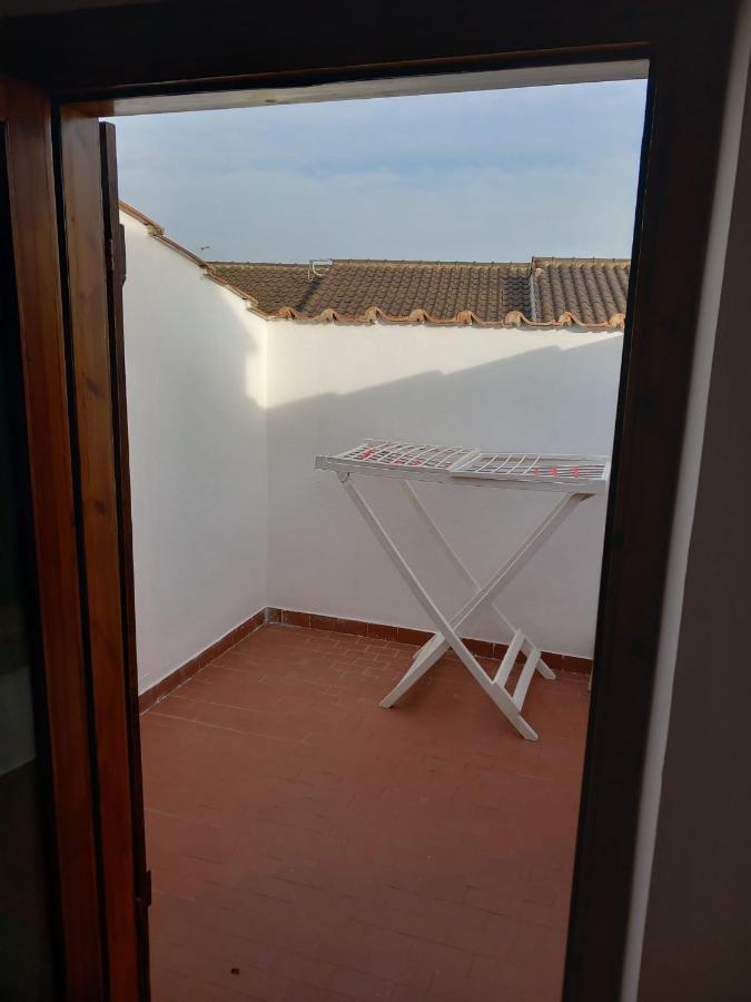 Roma A Un Passo E Il Mare In Casa Apartment Marina di Cerveteri Ngoại thất bức ảnh